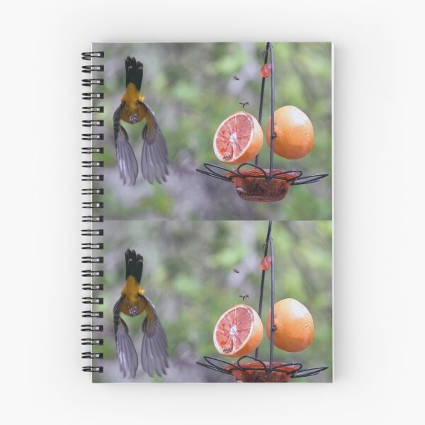 Item preview, Flying Oriole and Bees at the Feeder designed and sold by CarolM.