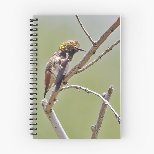 Item preview, When You Have an Itch, Scratch It designed and sold by CarolM.