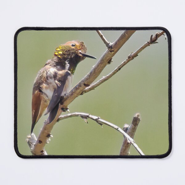 Item preview, When You Have an Itch, Scratch It designed and sold by CarolM.