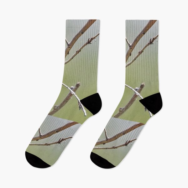 Item preview, When You Have an Itch, Scratch It designed and sold by CarolM.