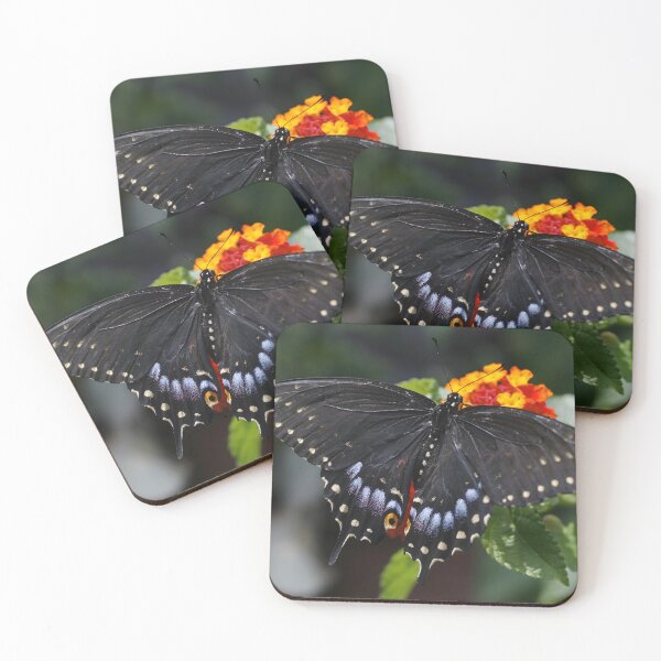 Item preview, Black spotted butterfly on flower designed and sold by Skeezix-66.