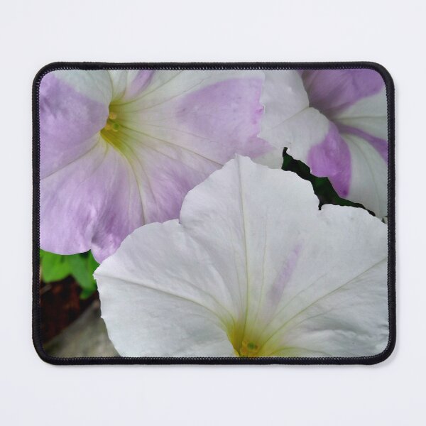 Item preview, White Trumpets designed and sold by vernonplatt.