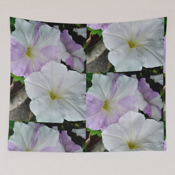 Item preview, White Trumpets designed and sold by vernonplatt.