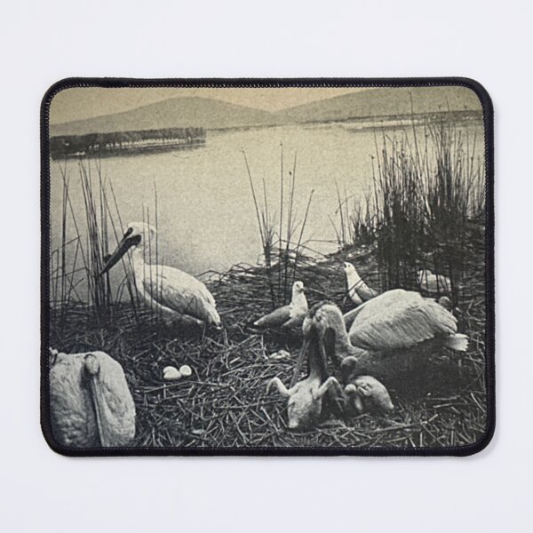 Item preview, Birds 1917 No 7 designed and sold by bloomingvine.