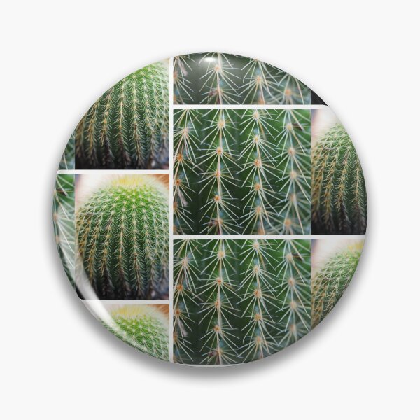 Item preview, Cactus M2 designed and sold by Pixsell Image.