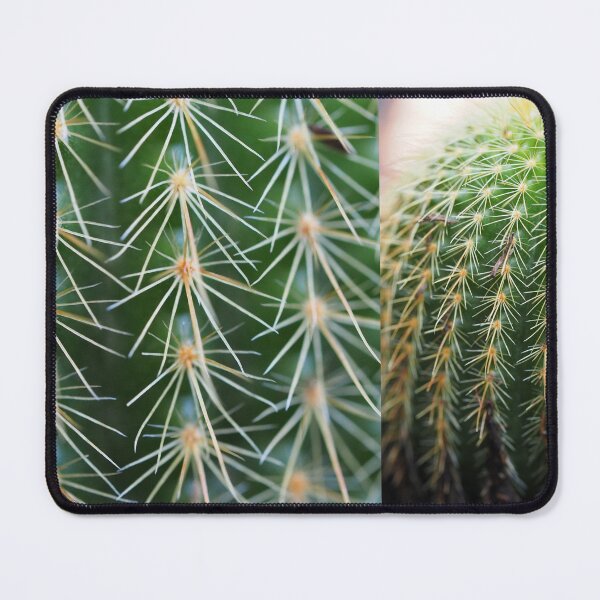Item preview, Cactus M2 designed and sold by Pixsell Image.