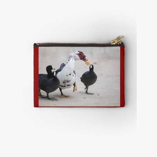 Item preview, American Coots Sizing Up the Bread the Muscovy Duck Has.   designed and sold by CarolM.