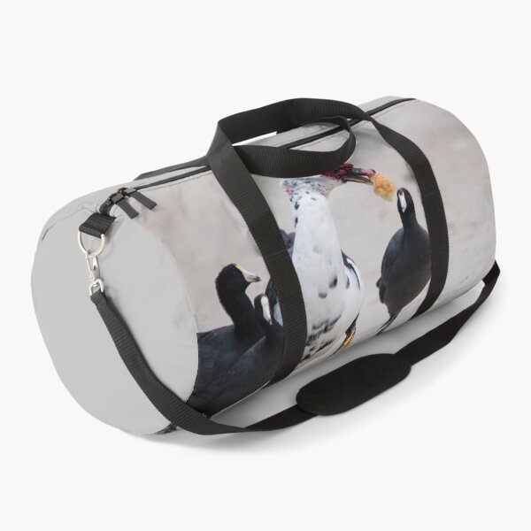 Item preview, American Coots Sizing Up the Bread the Muscovy Duck Has. designed and sold by CarolM.