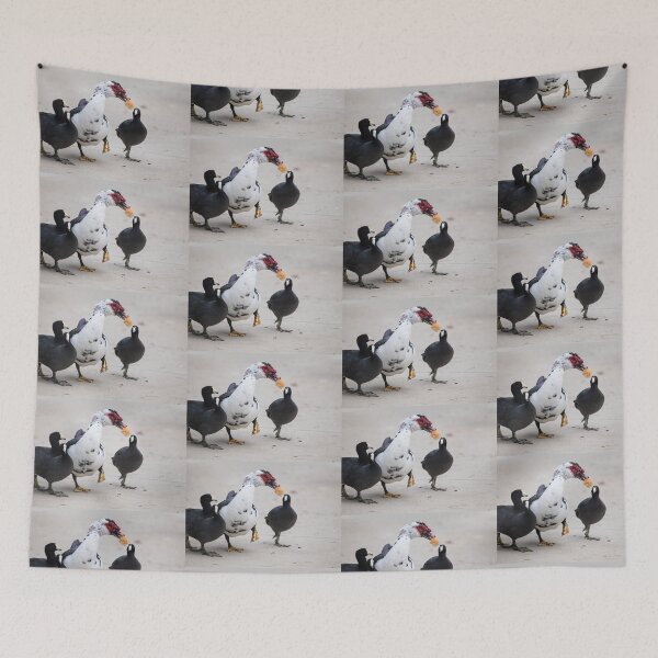 Item preview, American Coots Sizing Up the Bread the Muscovy Duck Has.   designed and sold by CarolM.
