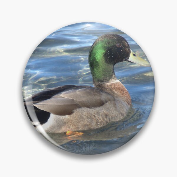 Item preview, Duck on blue water designed and sold by aligata1970.