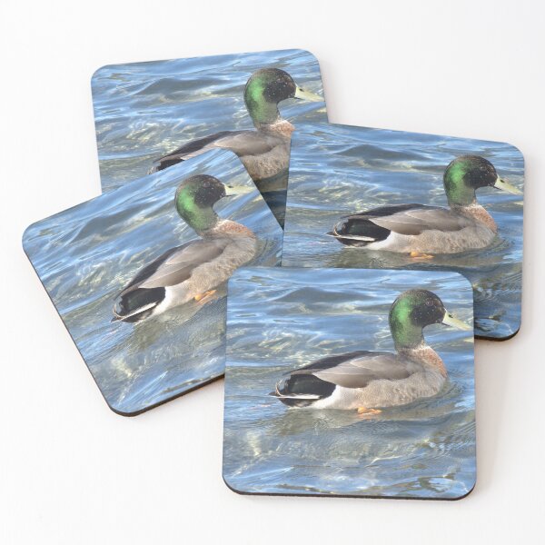 Item preview, Duck on blue water designed and sold by aligata1970.