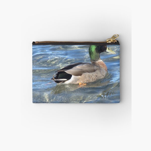 Item preview, Duck on blue water designed and sold by aligata1970.