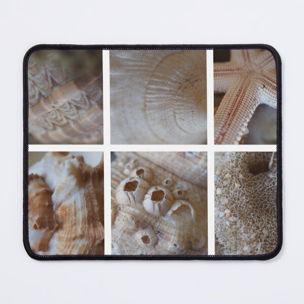 Item preview, Sea Shells  designed and sold by Pixsell Image.