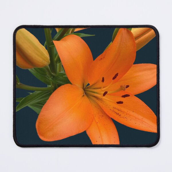 Item preview, Orange Lily  designed and sold by Amanda1775.