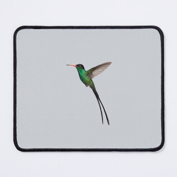Item preview, Red-billed Streamertail designed and sold by ArunDandiboina.
