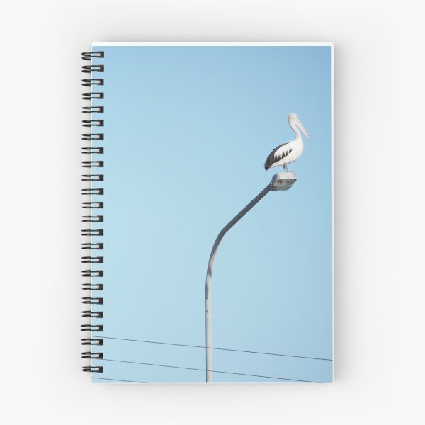 Item preview, Perched designed and sold by Pixsell Image.
