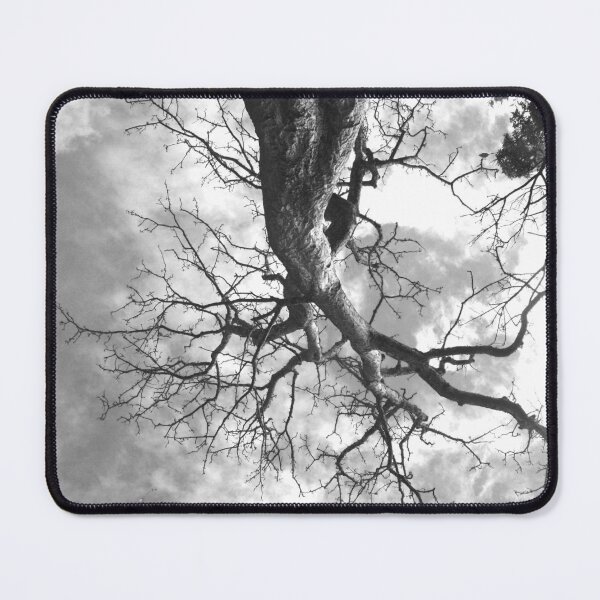 Item preview, Tree View designed and sold by Pixsell Travels.