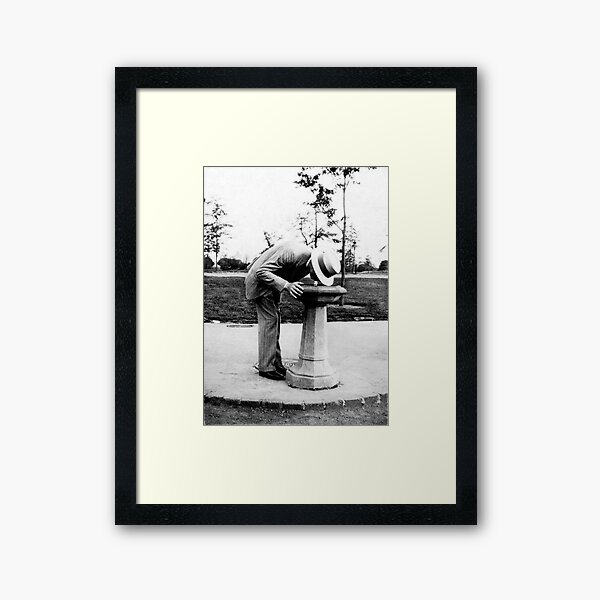 Fountain Of Youth Framed Art Print