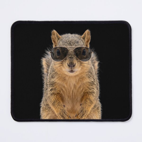 Item preview, Cute Baby Squirrel Wearing Sunglasses Funny designed and sold by RareLavender.