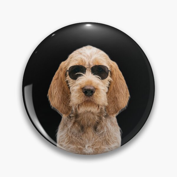 Item preview, Cute Baby Spinone Italiano Dog Wearing Sunglasses Funny designed and sold by RareLavender.