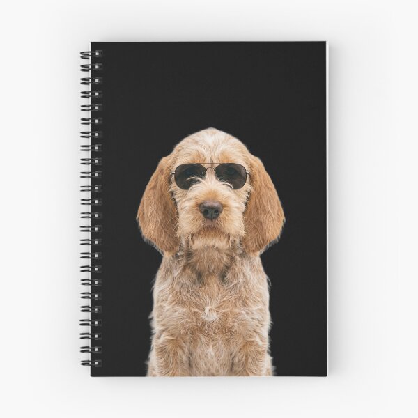 Item preview, Cute Baby Spinone Italiano Dog Wearing Sunglasses Funny designed and sold by RareLavender.