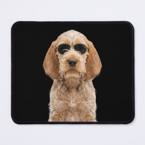 Item preview, Cute Baby Spinone Italiano Dog Wearing Sunglasses Funny designed and sold by RareLavender.