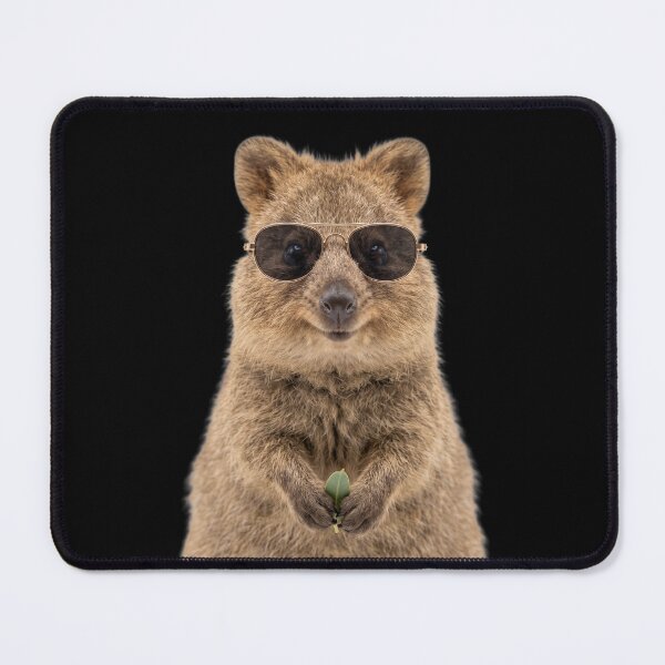 Item preview, Cute Baby Quokka Wearing Sunglasses Funny designed and sold by RareLavender.