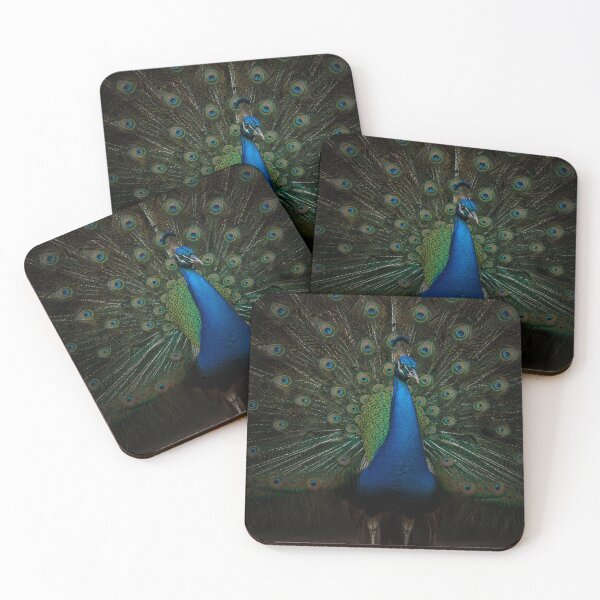 Item preview, Majestic Peacock Display – Vibrant Wildlife Wall Art designed and sold by ApexAnimal Art.