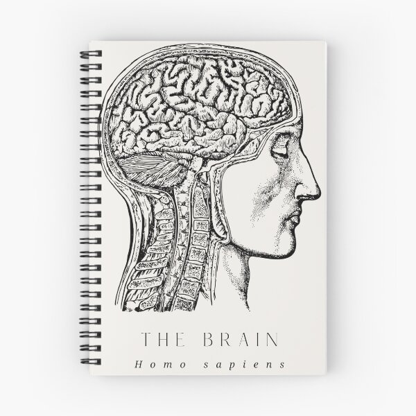 Item preview, The Brain Vintage Anatomical/Medical Art designed and sold by GhostlyWorld.