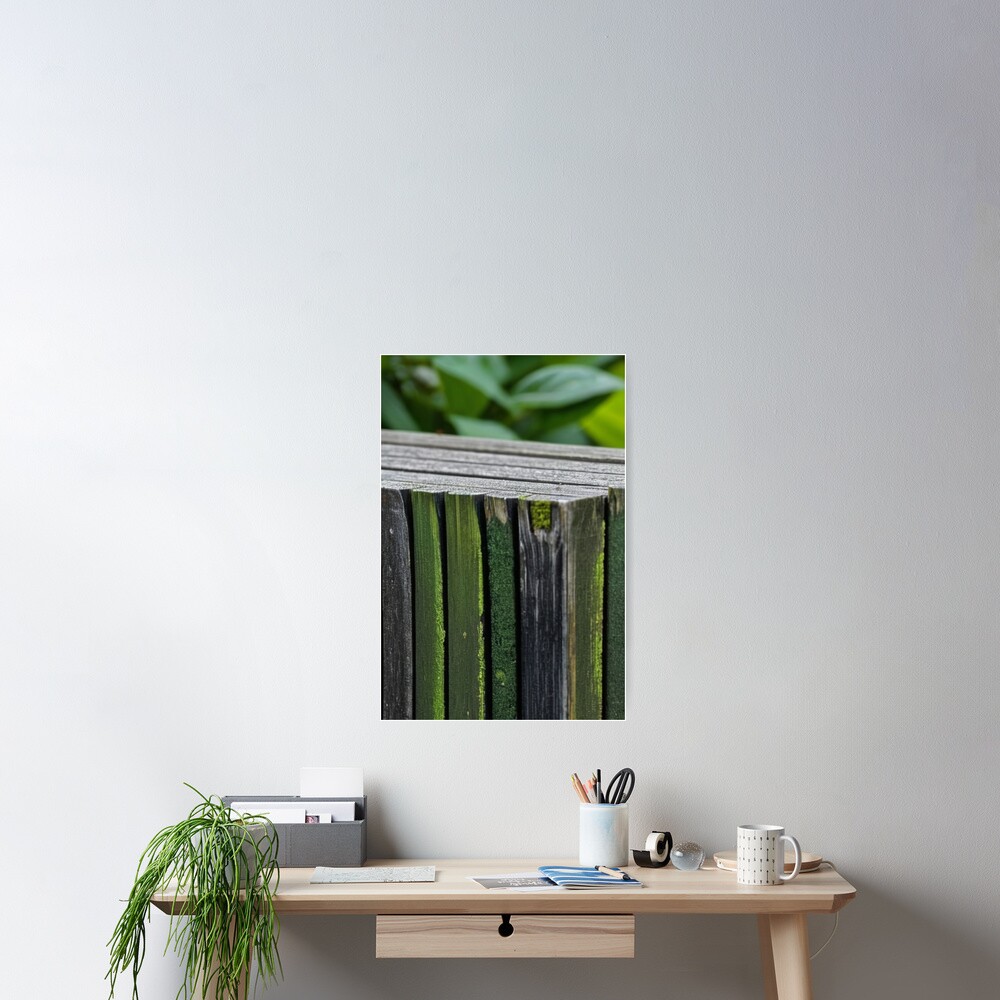 Vista previa del artículo con la obra «Póster», diseñado y vendido por Reverso-Design.