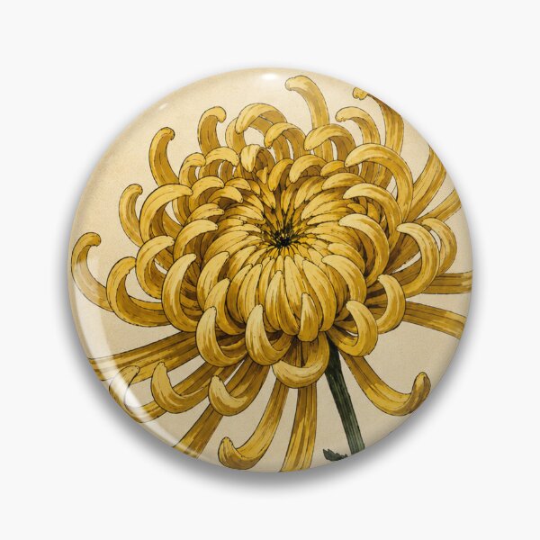 Item preview, Vintage Yellow Spider Chrysanthemum Illustration - Antique Botanical Flower Art designed and sold by Darlin8888.