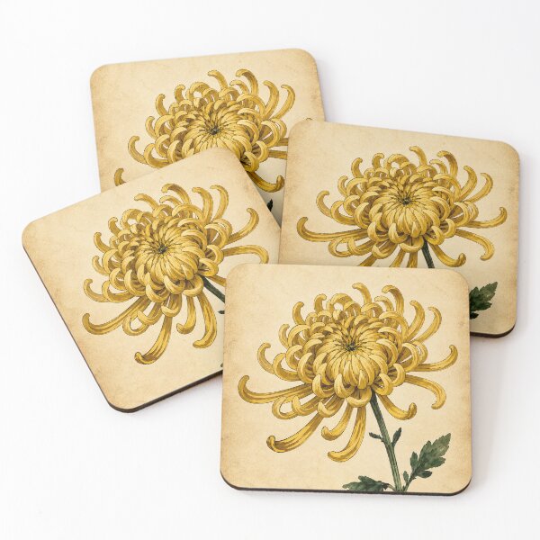 Item preview, Vintage Yellow Spider Chrysanthemum Illustration - Antique Botanical Flower Art designed and sold by Darlin8888.