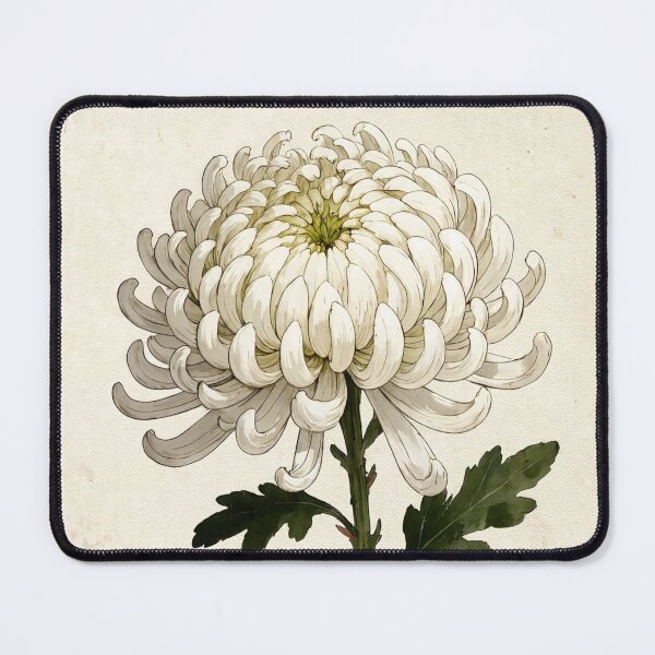 Item preview, Vintage White Spider Chrysanthemum Illustration - Antique Botanical Flower Art designed and sold by Darlin8888.