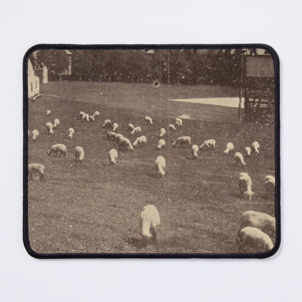 Item preview, Greystone Park Psychiatric Hospital Vintage Postcard – Sheep Pasture designed and sold by GhostlyWorld.
