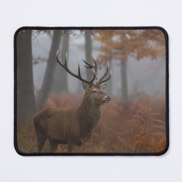 Item preview, Majestic Red Stag in Autumn Forest Mist – Wildlife Wall Art designed and sold by ApexAnimal Art.