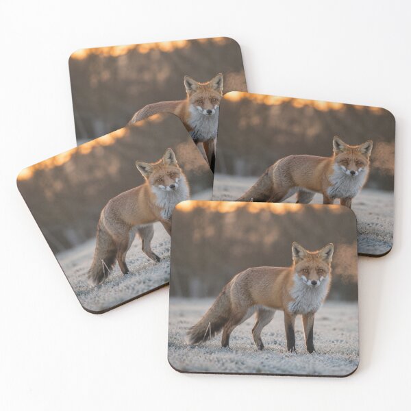 Item preview, Red Fox in Frosty Sunrise – Realistic Wildlife Nature Photography Wall Art designed and sold by ApexAnimal Art.