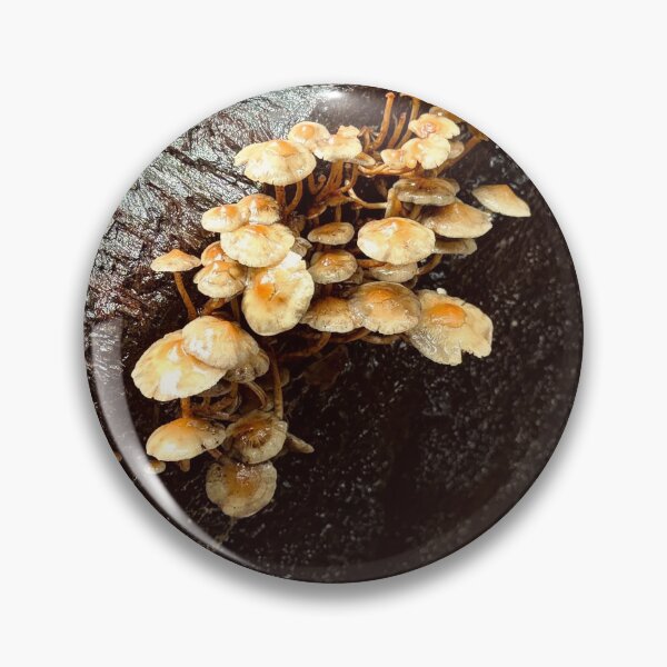 Item preview, Mushroom Log designed and sold by Em Fury.