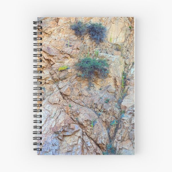 Item preview, Canyon Vegetation designed and sold by Bo Insogna.