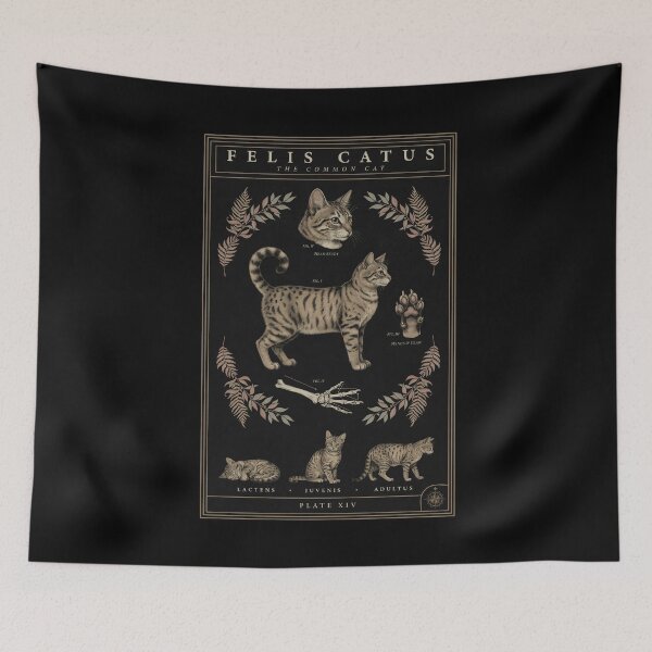 Item preview, Common Cat Felis Catus Plate designed and sold by darudcraft.