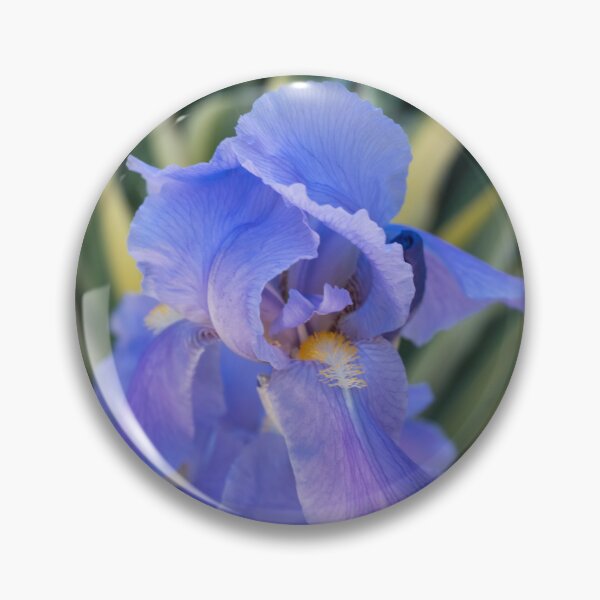 Item preview, Cool Amethyst Color Iris Among Interesting Foliage designed and sold by Georgia Mizuleva.