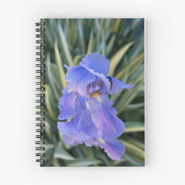Item preview, Cool Amethyst Color Iris Among Interesting Foliage designed and sold by Georgia Mizuleva.