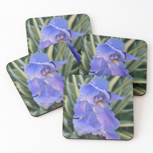Item preview, Cool Amethyst Color Iris Among Interesting Foliage designed and sold by Georgia Mizuleva.