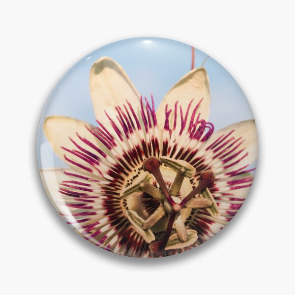 Item preview, Passion Flower designed and sold by JEZ22.