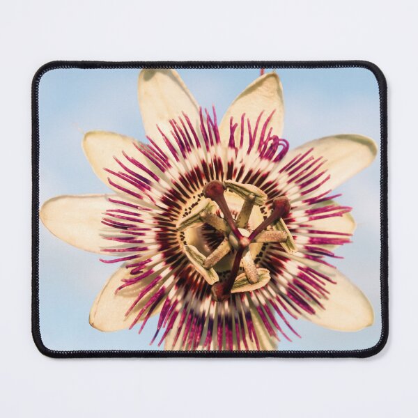 Item preview, Passion Flower designed and sold by JEZ22.
