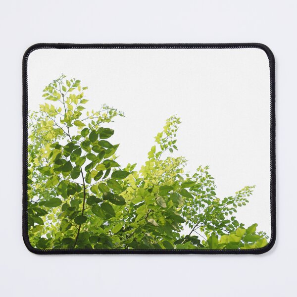 Item preview, Green leaves on white background designed and sold by kkdesign2527.