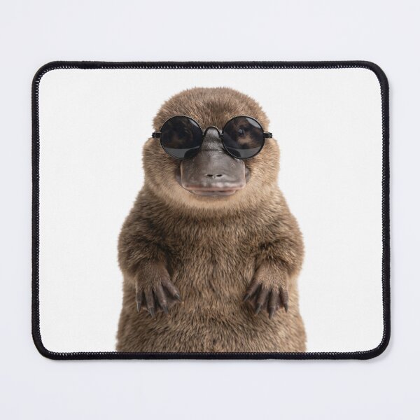 Item preview, Cute Baby Platypus Wearing Sunglasses Funny designed and sold by RareLavender.