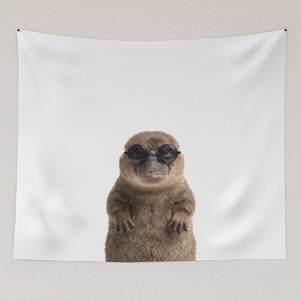 Item preview, Cute Baby Platypus Wearing Sunglasses Funny designed and sold by RareLavender.