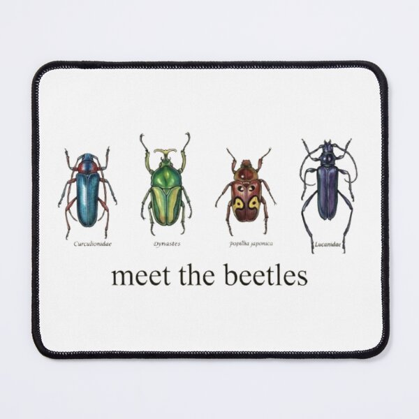 Item preview, Meet the Beetles – Vintage Scientific Insect Illustration with Latin Names designed and sold by RaresS.