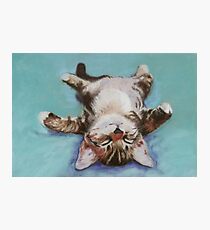 LITTLE NAPPER Photographic Print