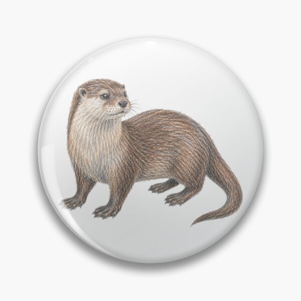 Item preview, Otter drawing with crayons designed and sold by JOANNASKAH.